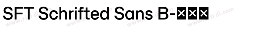 SFT Schrifted Sans B字体转换